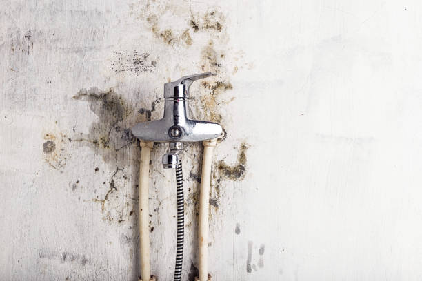 Best HVAC Mold Remediation in Manchester, MI